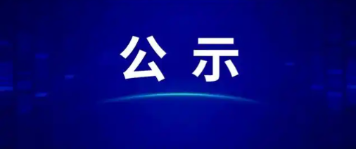 公示文件